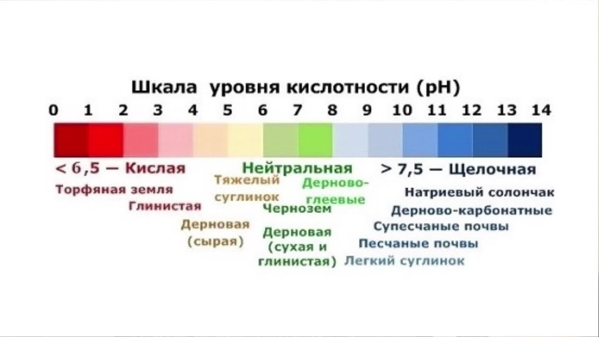 Как самостоятельно определить кислотность почвы на участке