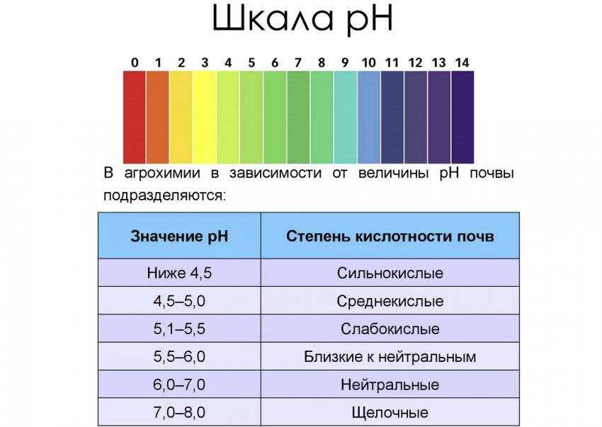 Простейшие методы определения свойств почвы. - сад, огород - страна мам