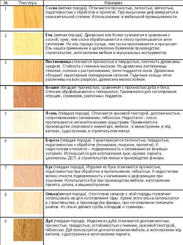 Самые прочные породы древесины. какая древесина самая прочная в россии