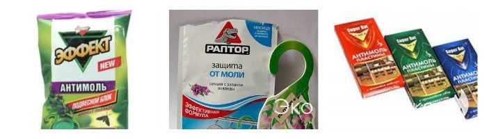 Откуда берется моль в квартире, как нати гнездо и как с ней бороться