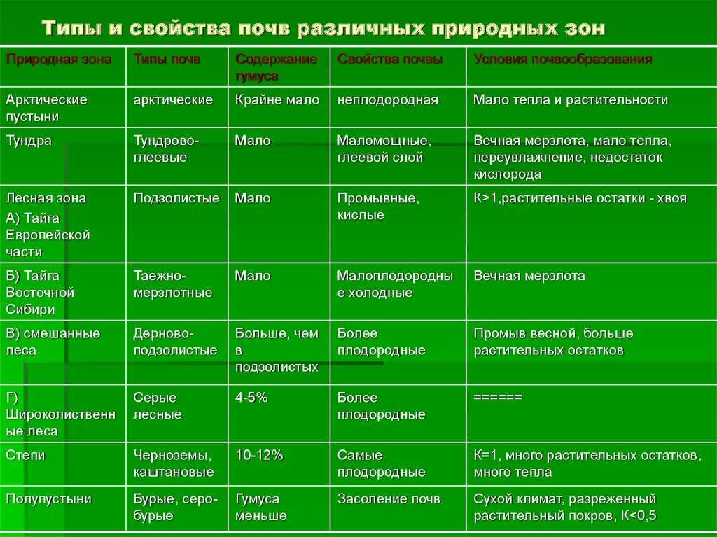 Какая почва самая плодородная - основные виды и их влияние на урожайность, методы по улучшению структуры
