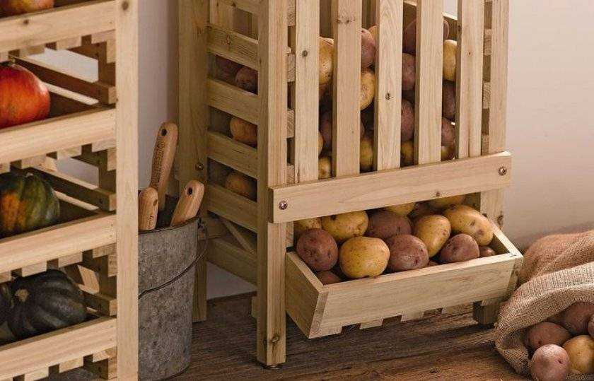 Как хранить картофель долго в домашних условиях
