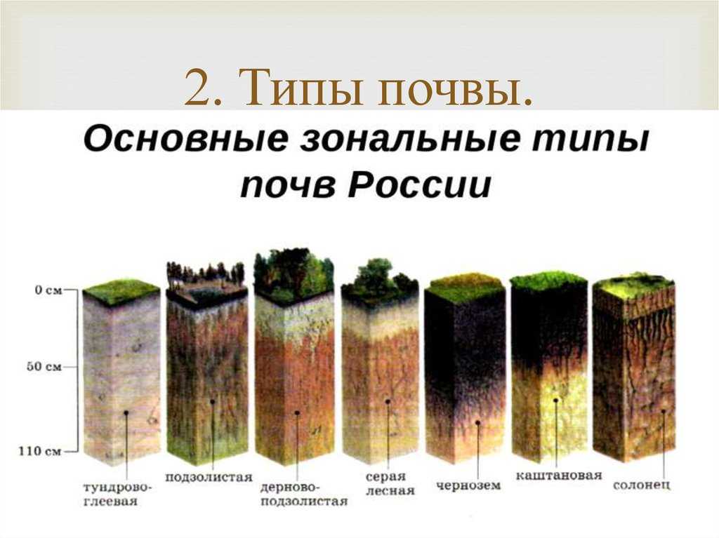Типы почв