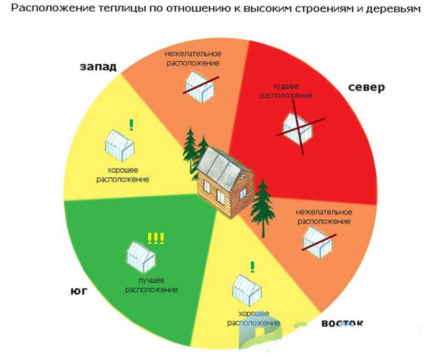 Как расположить растения в теплице