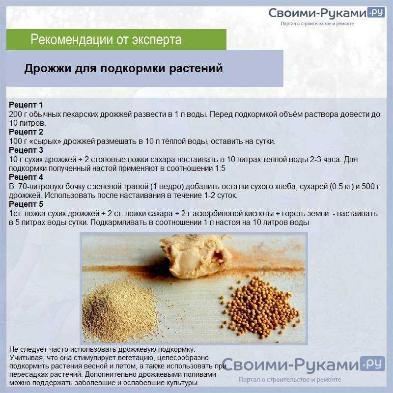 Расскажем про пользу дрожжей в огороде и саду, дадим рекомендации по выбору и покажем подборку рецептов