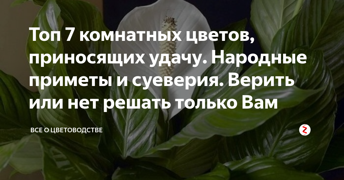 Как украсить дом искусственными цветами?