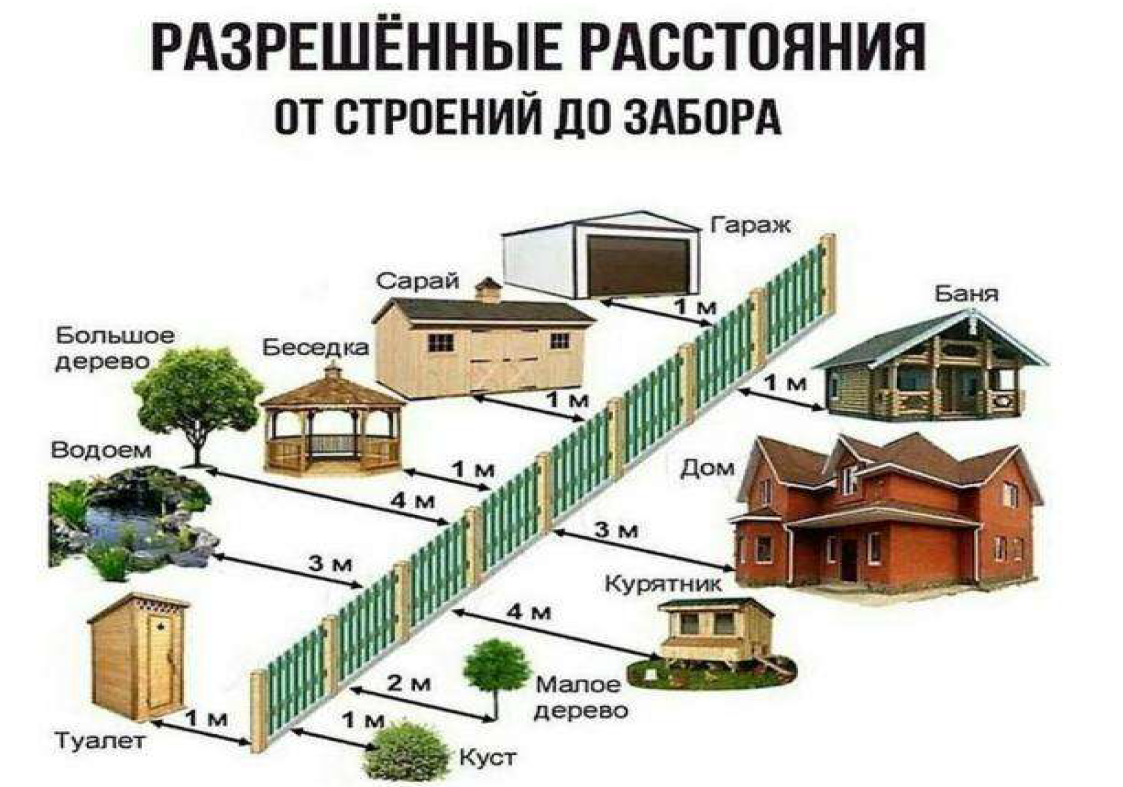 Биодренаж: какие деревья посадить у выгребной ямы, чтобы реже её откачивать