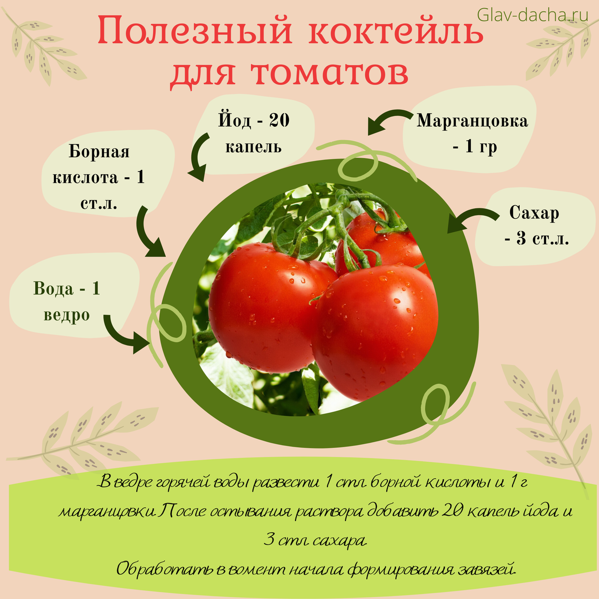 Дрожжевая подкормка для огурцов и помидоров