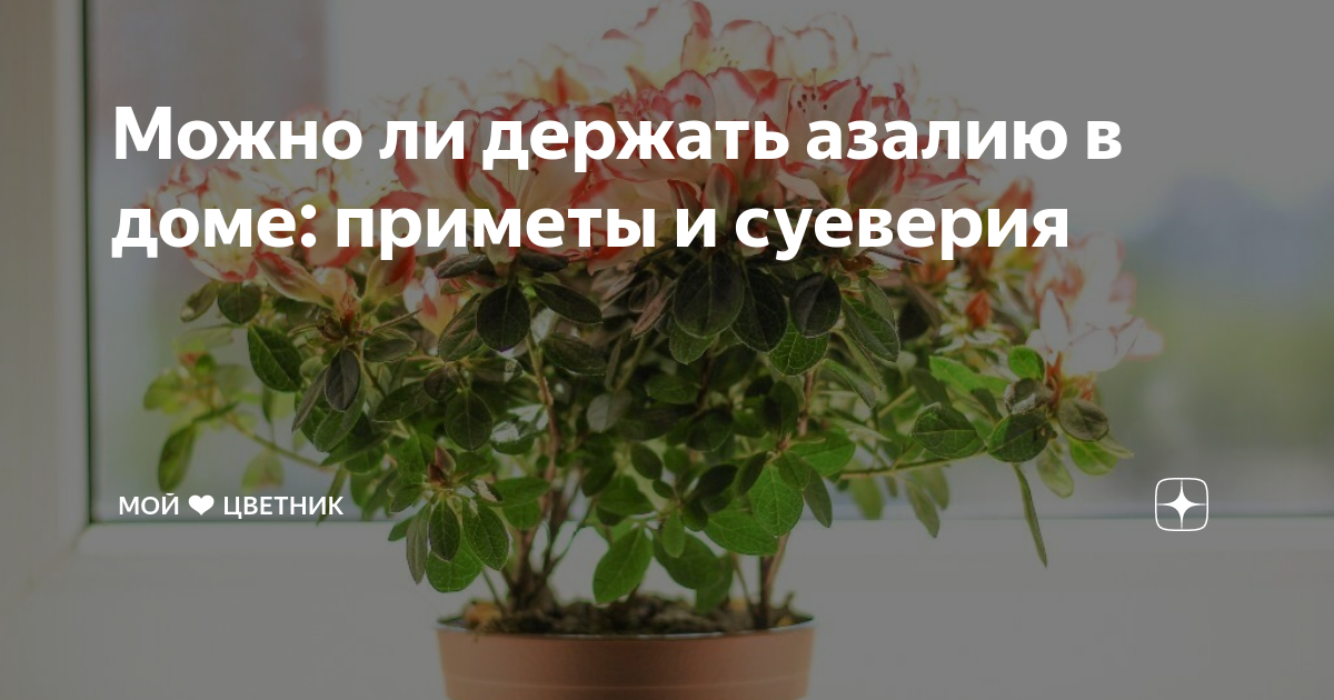 Искусственные цветы в доме – хорошая примета! практические советы и готовые идеи для оформления интерьера — статья на тчк