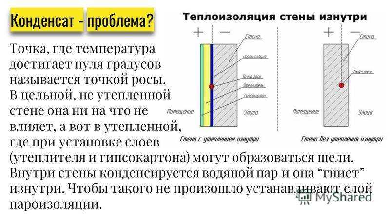 Эти 12 признаков указывают на скрытую плесень в доме, из-за которой вы болеете :: инфониак