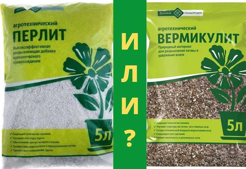 Вермикулит или перлит? | треймут любовь * treimut.ru