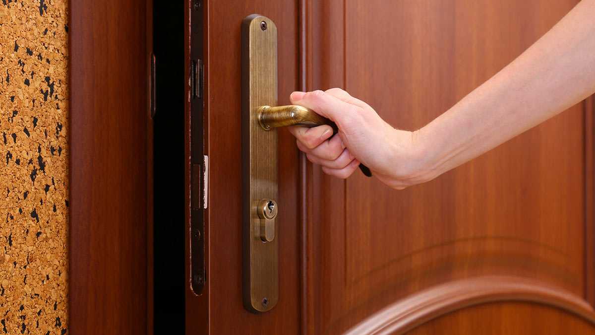 Как выбрать входную металлическую дверь в дом: советы профессионала