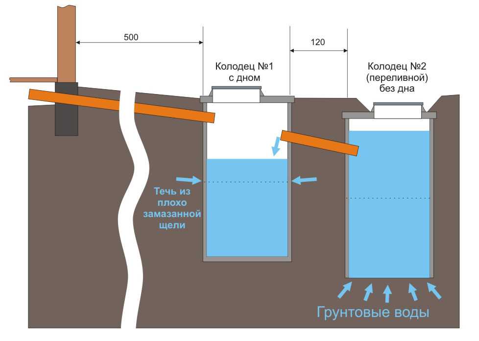 Какие деревья нужно сажать возле септика?