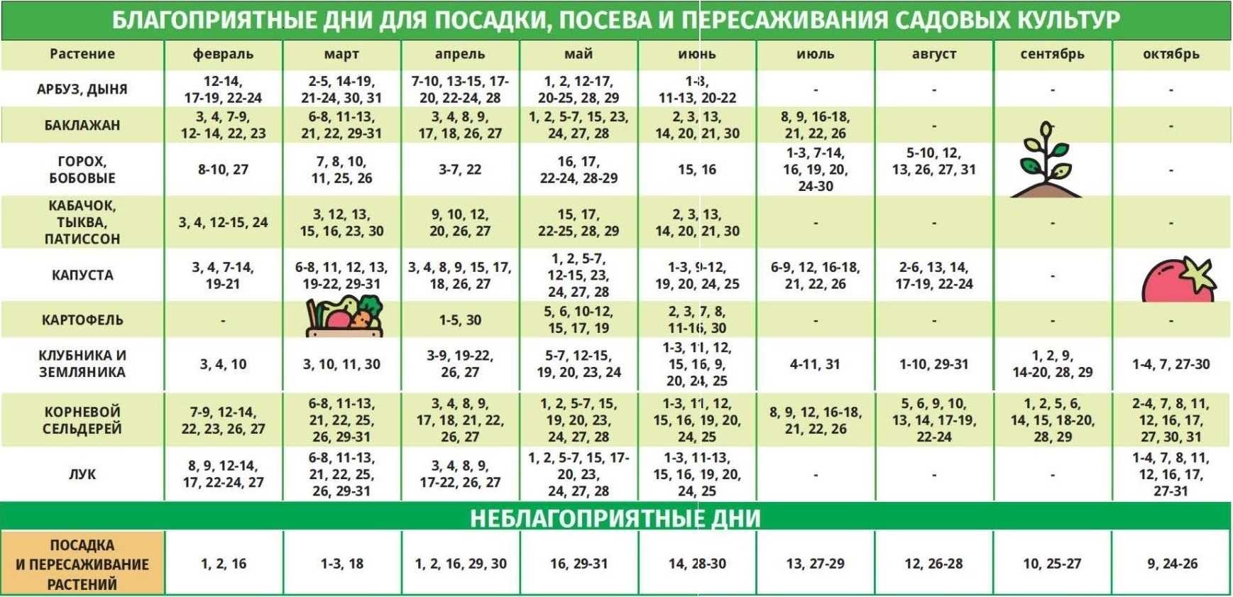 Какие цветы можно держать в спальне, 16 видов и описание