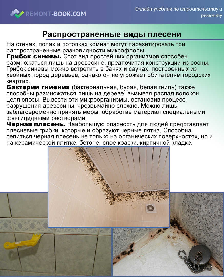 Как избавляться от сырости в квартире: способы устранения влажности, и полезные рекомендации