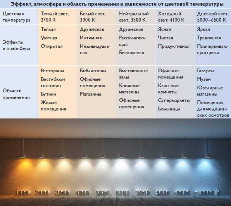 Холодные и теплые оттенки цветов: особенности оформления комнат
