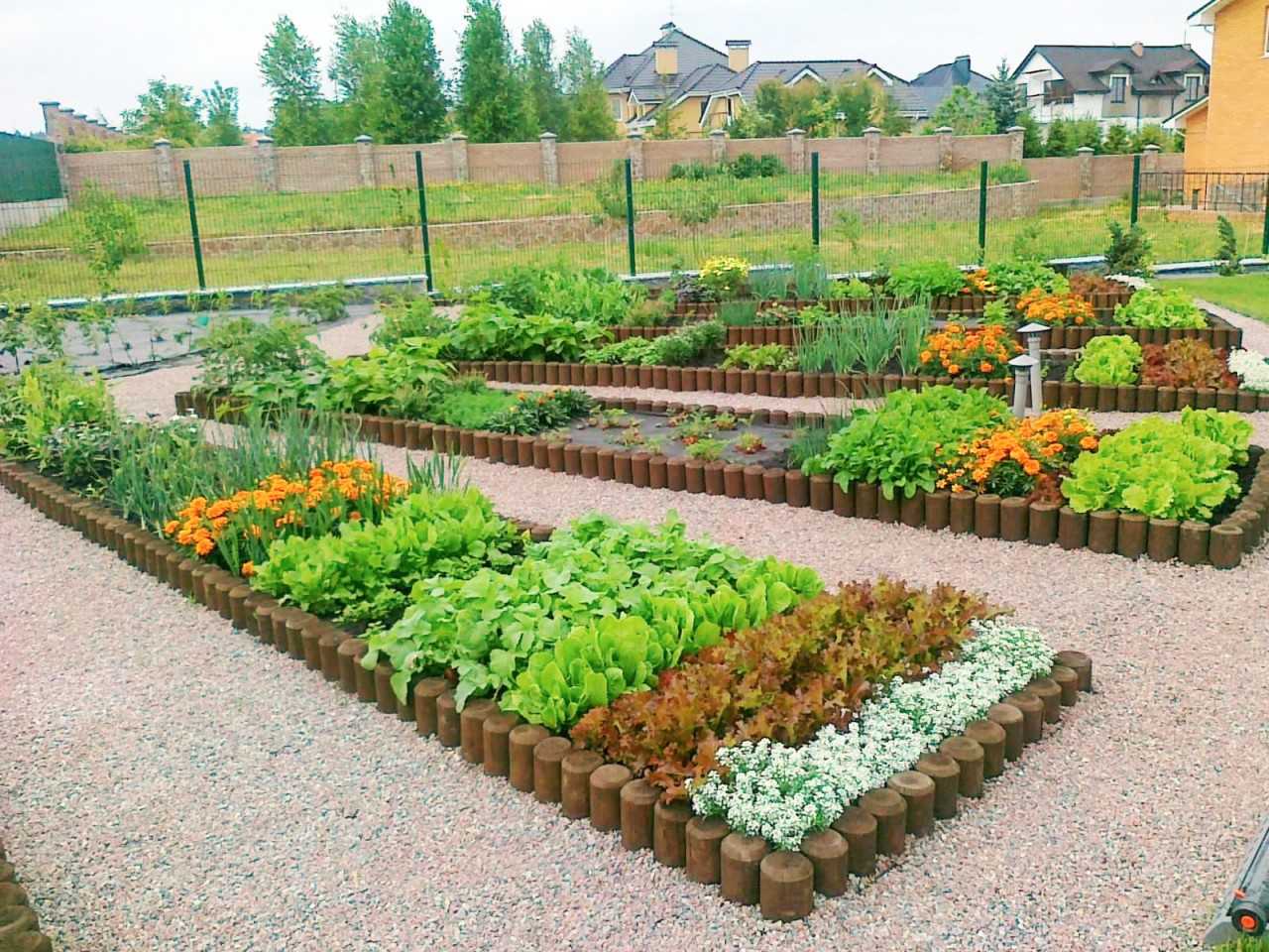 Как сделать красивые грядки на даче своими руками