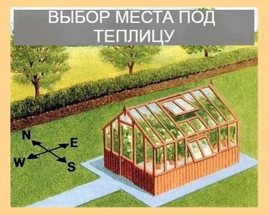 Как правильно ориентировать теплицу по сторонам света