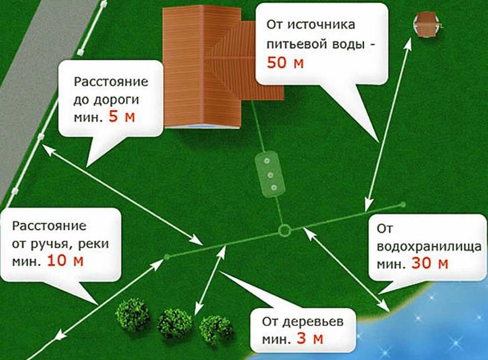 Плодовые деревья расстояние от выгребной ямы