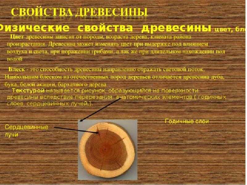 Какая древесина самая тяжелая. твердые породы древесины: какие это? степень твёрдости деревьев, характерных для россии