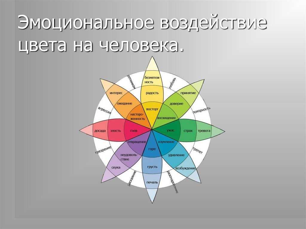 Влияние цвета на человека в интерьере: 11 основных цветов