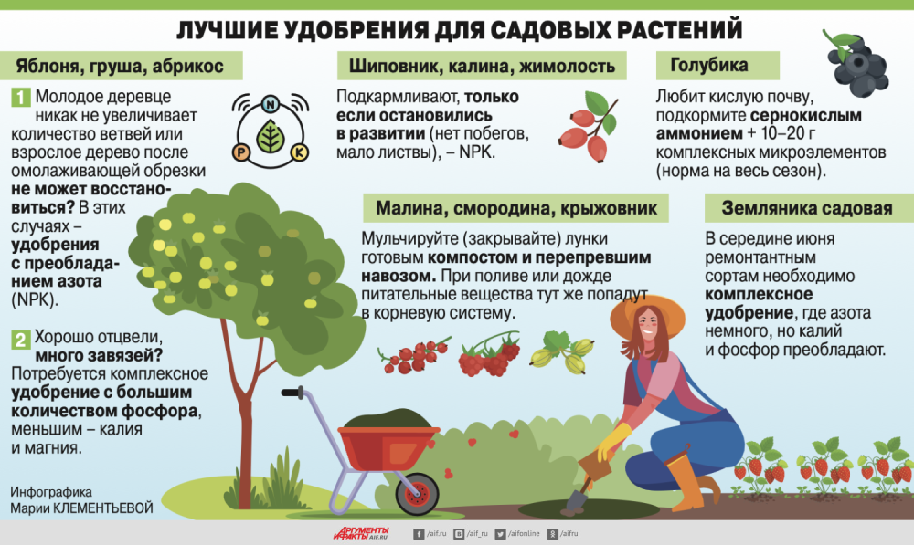 Геотекстиль: применение на даче и в других областях. / полезные советы / публикации / санитарно-технические работы