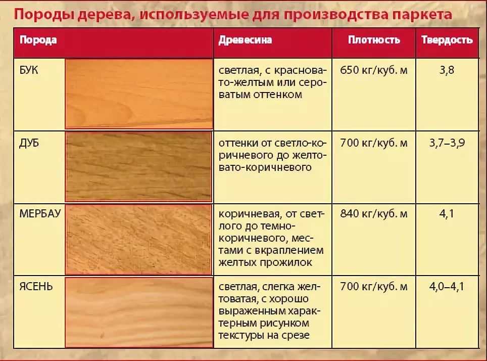 Свойства древесины разных пород